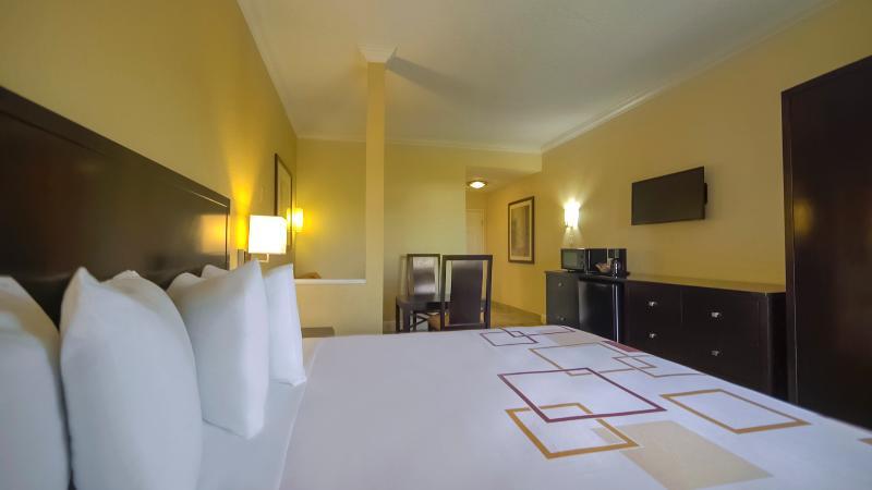 Foto general de Hotel Galleria Palms Orlando