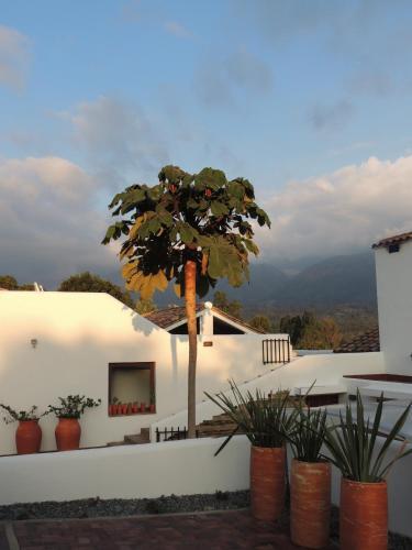 Foto general de Passadhi Guest House