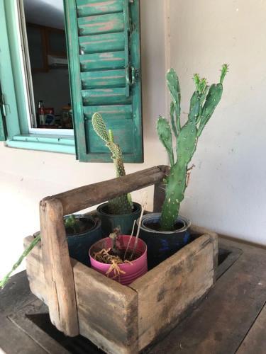 Foto de una habitación de Posada San Andres