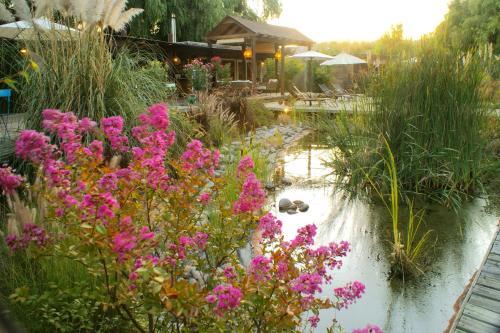 Foto general de Bed-and-Breakfast Barrica Lodge