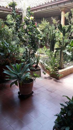 Photo – Hotel Real