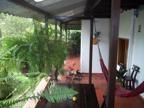 Foto de una habitación de Cabañas Las Bifloras