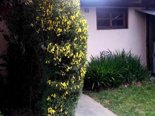 Foto de una habitación de Cabañas Los Nonos