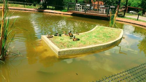 Foto general de Balcón del Río, Hotel de Campo y Cabañas