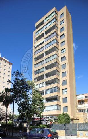 Foto de una habitación de Apartamentos Paraíso Florida - BenidormParaíso