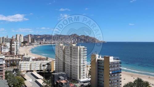 Foto de una habitación de Apartamentos Paraíso Florida - BenidormParaíso