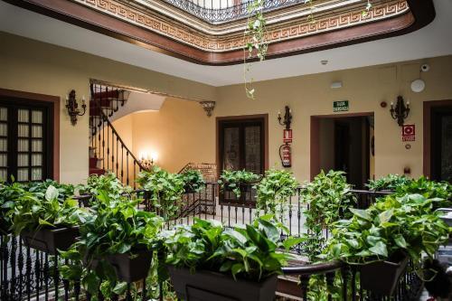 Foto general de Hotel Casona de San Andrés