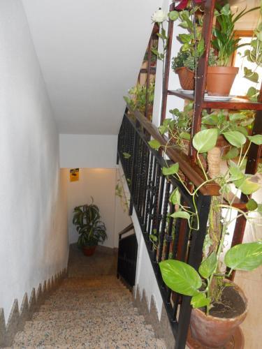 Foto general de Hostal El Descanso