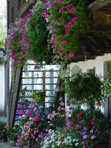 Foto general de Hotel Blankhof garni