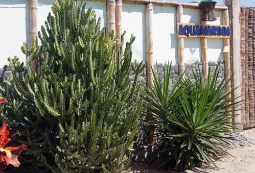 Foto general de Bed-and-Breakfast AquamarInn