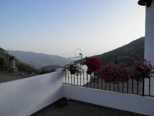 Foto general de Apartamentos Casalpujarra