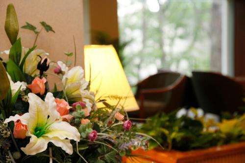 Foto general de Hakuba Hotel Paipu no Kemuri