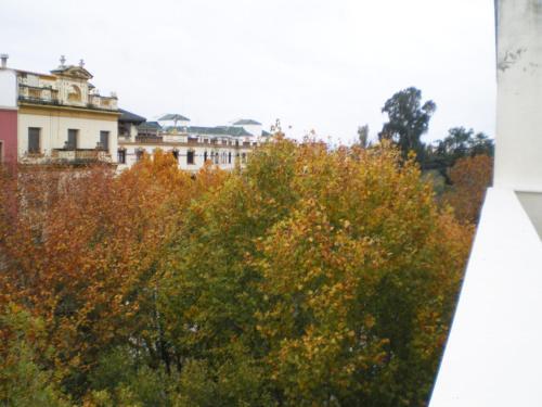 Foto de una habitación de Apartamentos Murallas de Sevilla