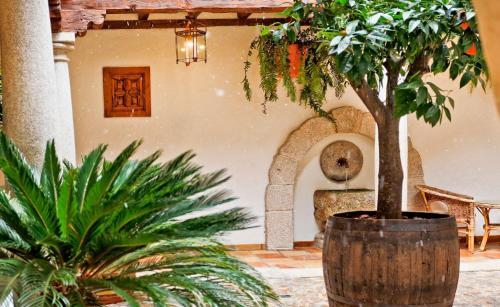 Foto general de Posada del Tio Juanón