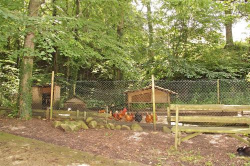 Foto general de Camping Abadesses