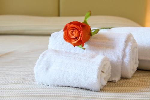 Foto general de Bed-and-Breakfast Domus Il Palio