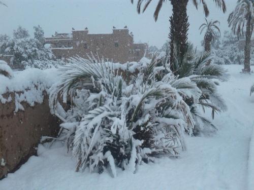 Foto de una habitación de Kasbah Dar Dmana
