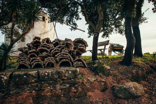 Foto general de Bed-and-Breakfast Moinhos do Paneiro