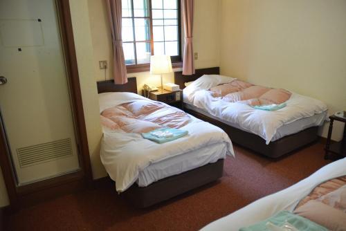 Foto de una habitación de Hotel Montblanc Hakuba