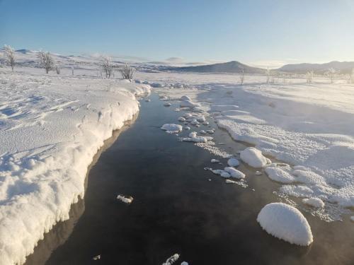 Foto general de Torsetlia Hotel