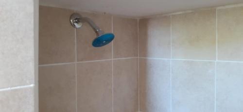 Foto de una habitación de Hotel Albatros