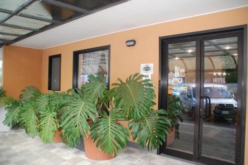 Foto general de Campus Hotel