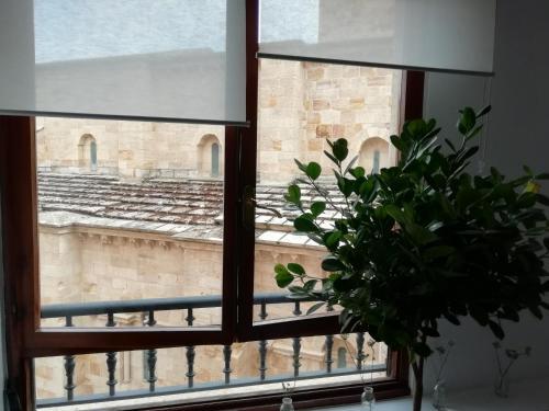 Foto de una habitación de La Casa de Zamora