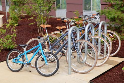 Foto general de Hotel Fairfield Inn &amp;amp; Suites by Marriott Philadelphia Valley Forge/Great Valley