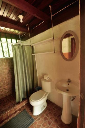 Room – Howler Monkey Hotel