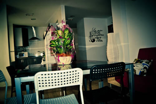 Foto de las zonas nobles de Hostel Dolce Vita