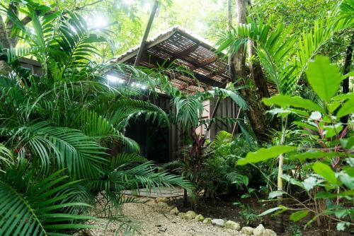 Foto de una habitación de Green Sanctuary Hotel