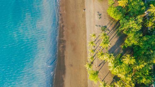 Foto general de Papagayo Golden Palms Beachfront Hotel