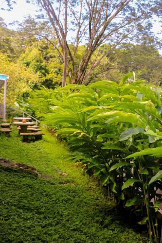 Foto general de Teva Hotel &amp;amp; Jungle Reserve