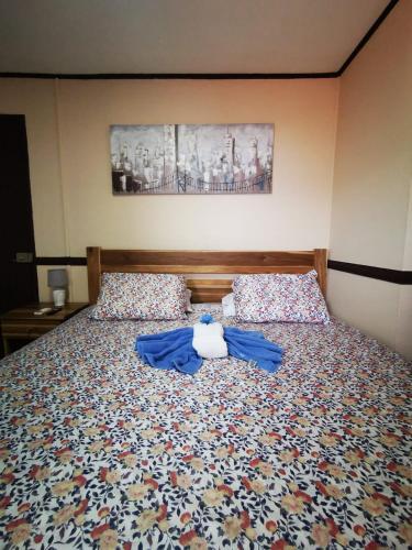 Foto de una habitación de Toucan Hostel