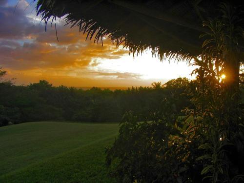 Foto general de Guacamaya Lodge