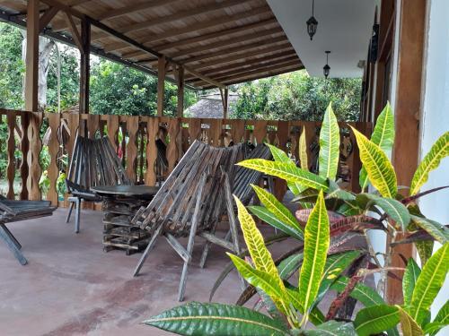 Foto de una habitación de Banana Lodge