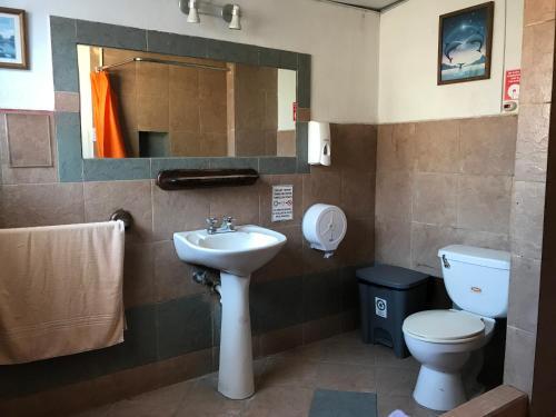 Foto de una habitación de Blue House Youth Hostel