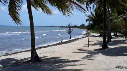 Foto general de Hotel Coco&amp;#039;s Beachfront Cabanas