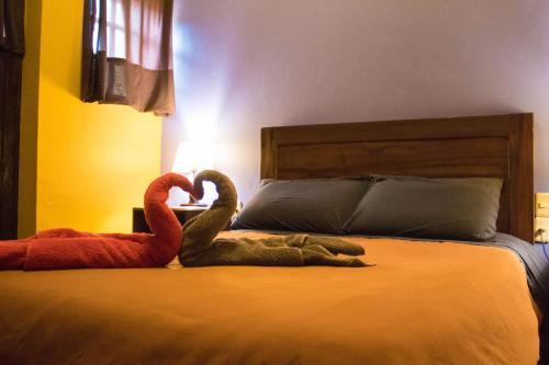 Foto general de Albergue Wild Rover La Paz