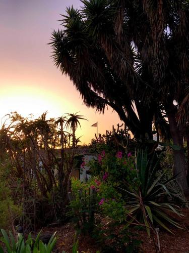 Foto de una habitación de El Oasis
