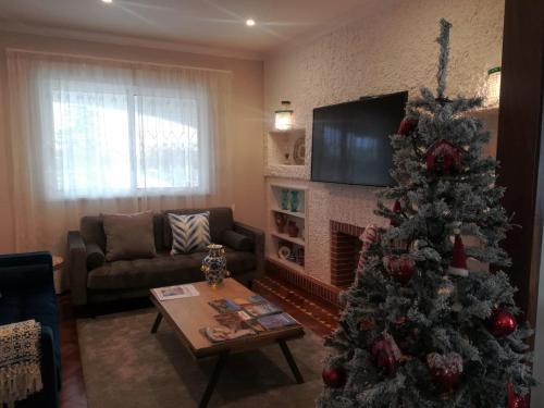 Foto general de Bed-and-Breakfast Vila Milreu Guest House