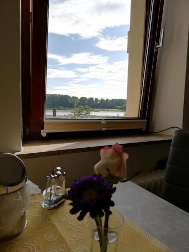Foto general de Pension Riverside in Leverkusen Hitdorf am Rhein - Zentral an der A1 und 59