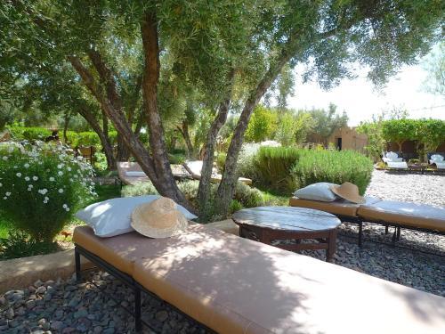 Foto general de Les Jardins de Skoura
