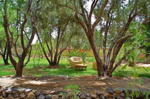 Foto general de Les Jardins de Skoura