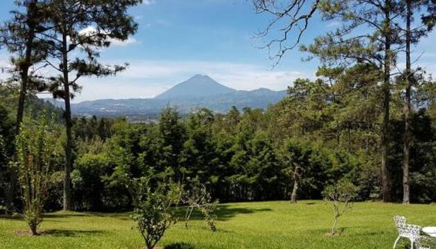 Foto de Bosque Macadamia
