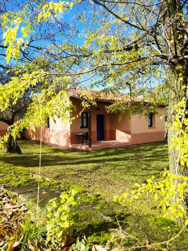 Photo – Apartments Aldea Vetonia