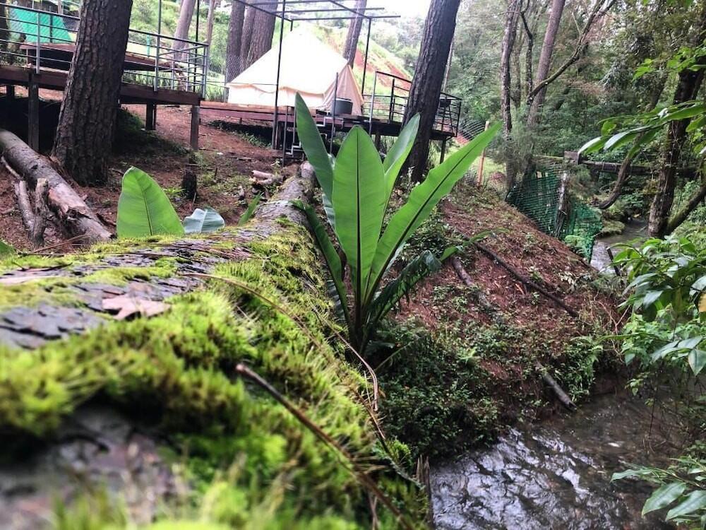 Foto general de Glamping Rio Valle de Bravo