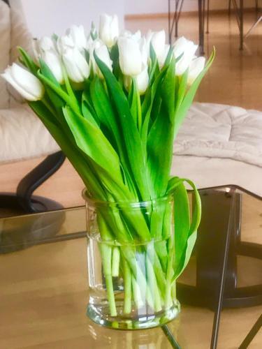 Foto general de smart&amp;amp;beautiful Guesthouse