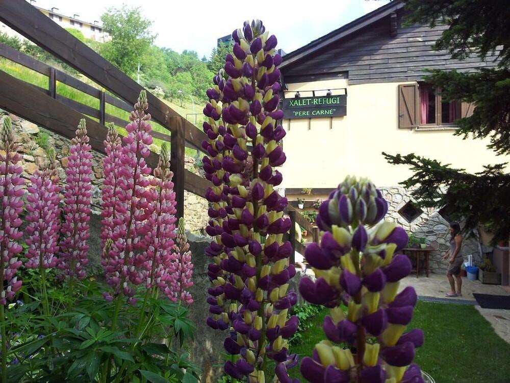 Foto del entorno de Albergue Xalet Refugi Pere Carné