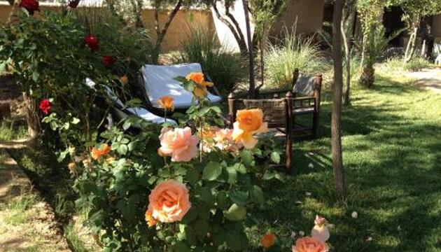 Foto de Les Jardins de Skoura